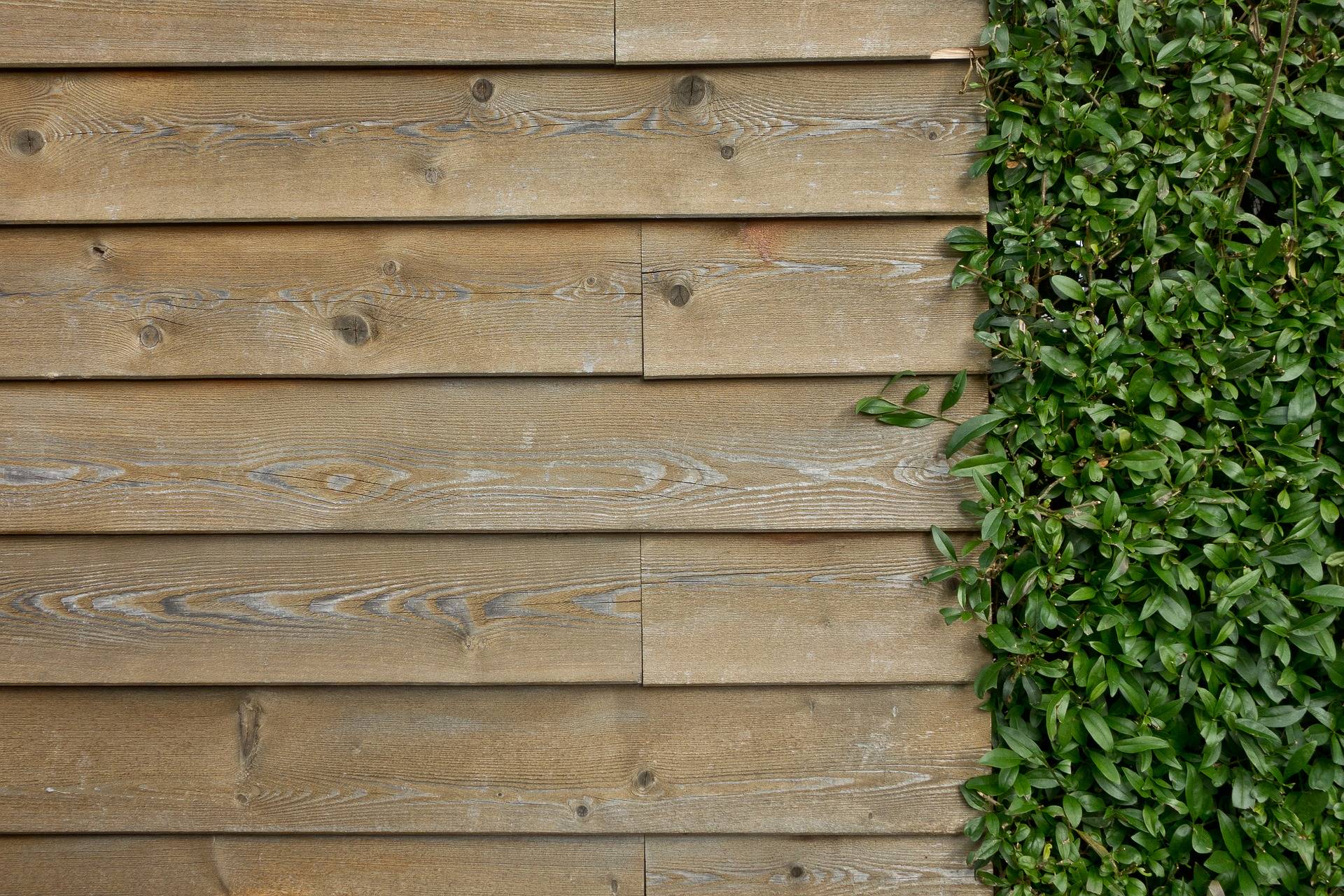 Comment construire un mur à ossature bois ? Colmar